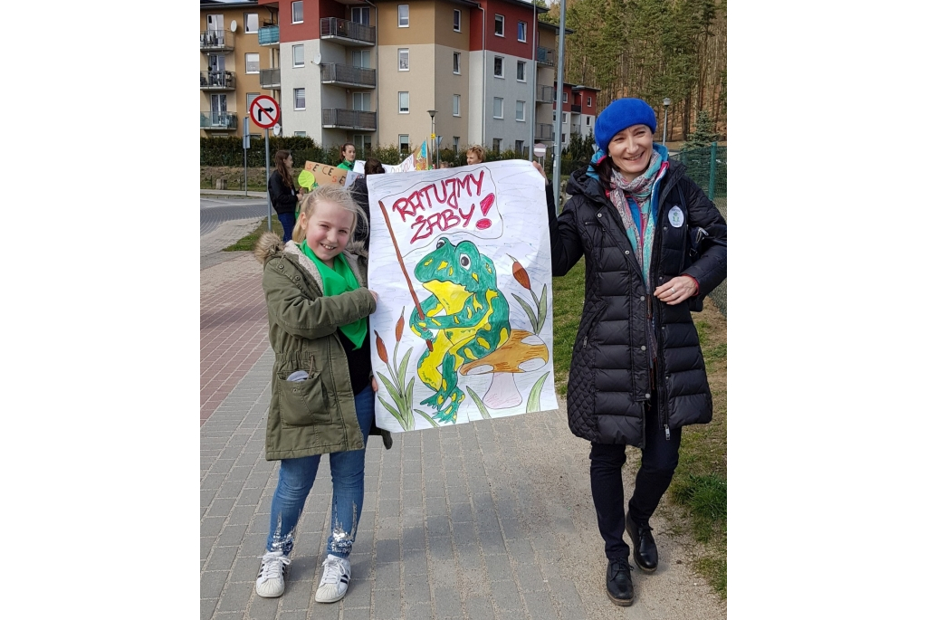 Akcja Ratujmy żabki