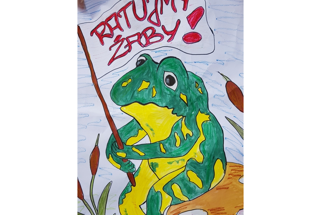 Akcja Ratujmy żabki