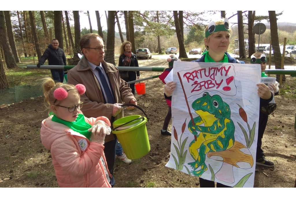 Akcja Ratujmy żabki