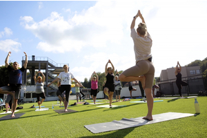 Joga w Wodnych Ogrodach