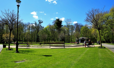 Park Miejski - prace porządkowe