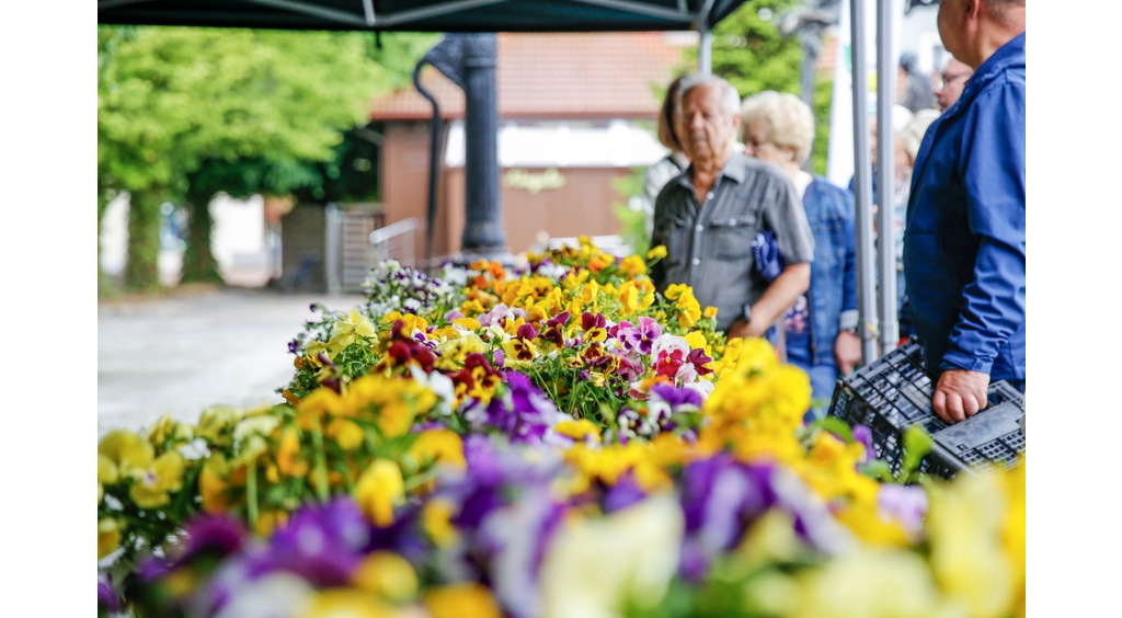 Mieszkańcy po raz kolejny „Przygarnęli bratka”