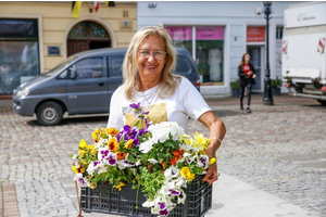 Przygarnij bratka