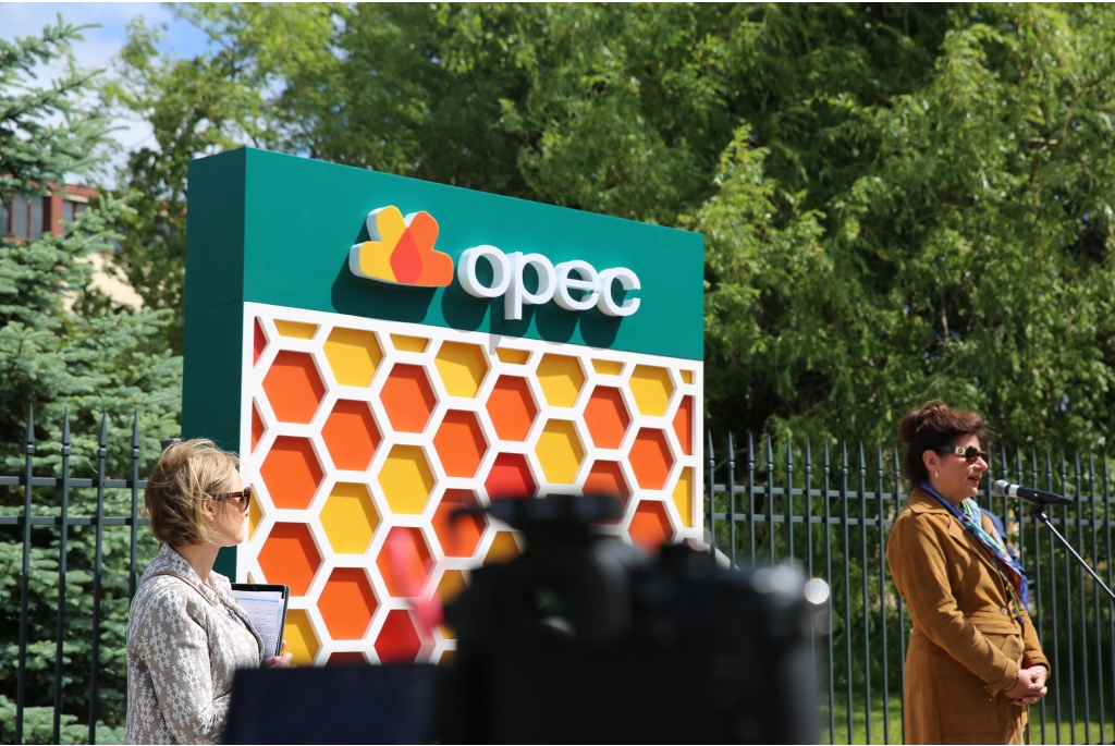 Piknik OPEC