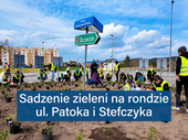 Sadzenie zieleni na rondzie ul. Patoka i Stefczyka