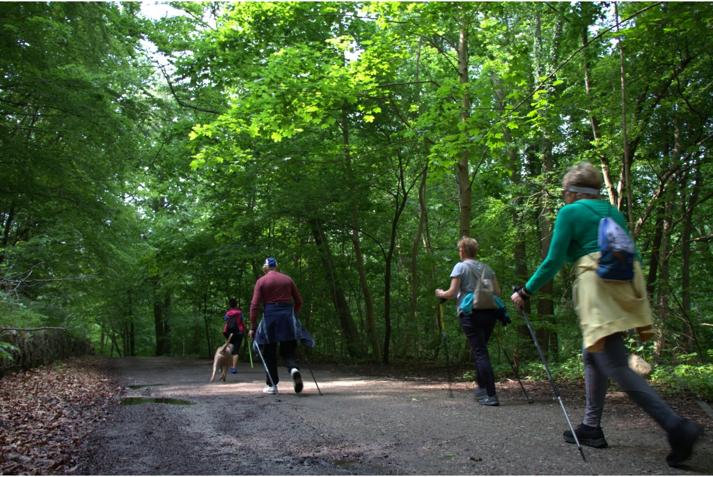 Marsz Nordic Walking