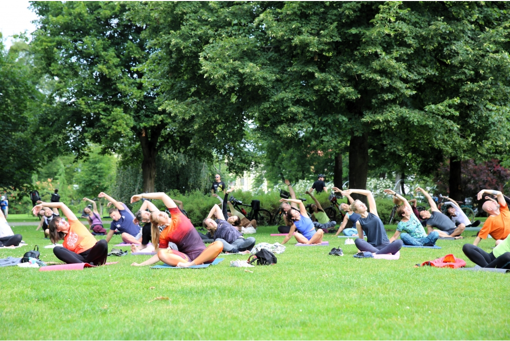 Joga w parku