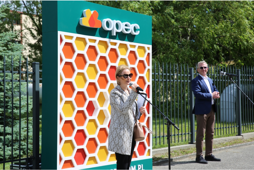 Piknik OPEC