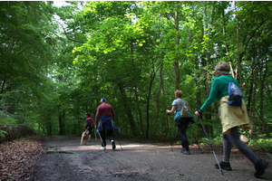 Marsz Nordic Walking