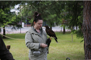 Piknik OPEC