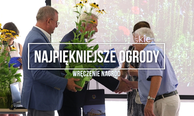 Najpiękniej ukwiecone okna, balkony i ogrody w Wejherowie (Wręczenie nagród))