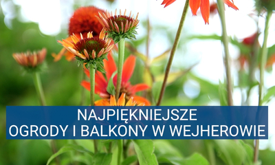 Konkurs na najpiękniejsze ogrody i balkony w Wejherowie