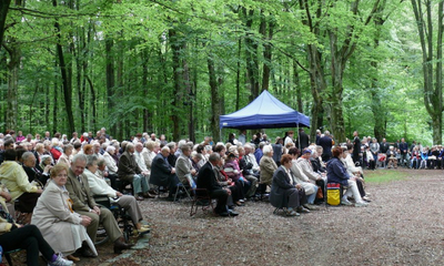 Odpust NMP Uzdrowienia Chorych - fot. Leszek Spigarski - 03.07.2011