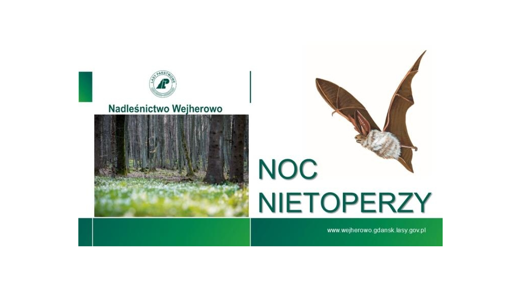 KLIMATycznie w Wejherowie. Noc Nietoperzy – zajęcia w ośrodku MUZA