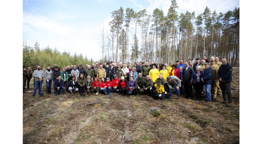 Sadzili las razem z naturą