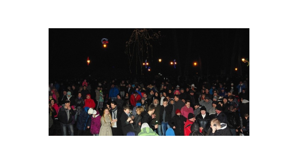 Powitanie Nowego Roku 2015 w Parku Miejskim