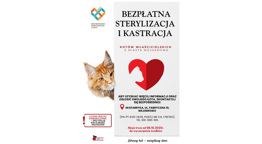 Darmowa akcja sterylizacji i kastracji kotów właścicielskich w Wejherowie 