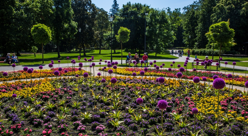 Wzrost zainteresowania wejherowskim parkiem