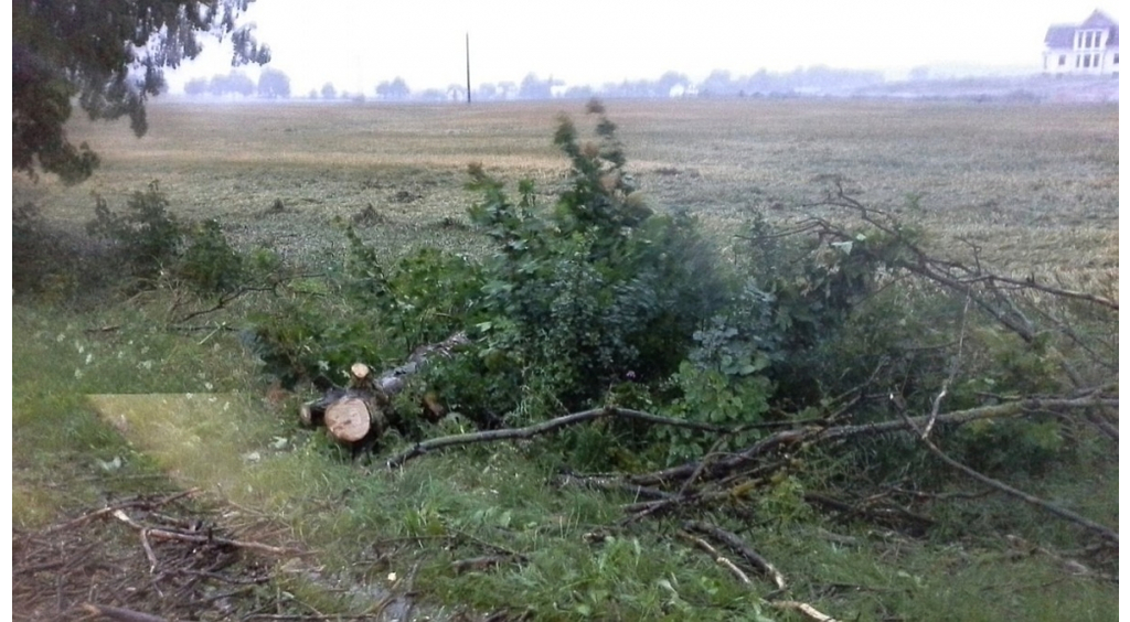 Ostrzeżenie o silnym wietrze