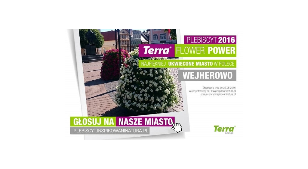 Wejherowo walczy w plebiscycie na „Najpiękniej ukwiecone miasto”