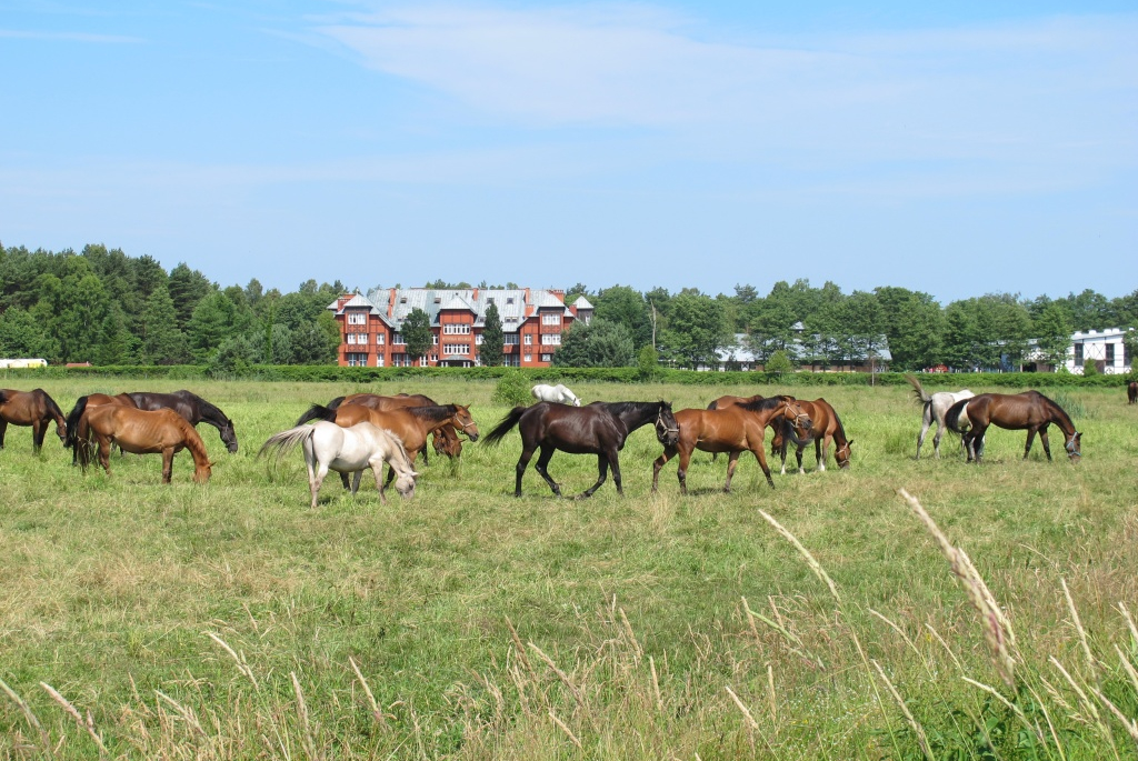 Akcja promocyjna miasta Wejherowa w miejscowościach nadmorskich – 09.07.2013