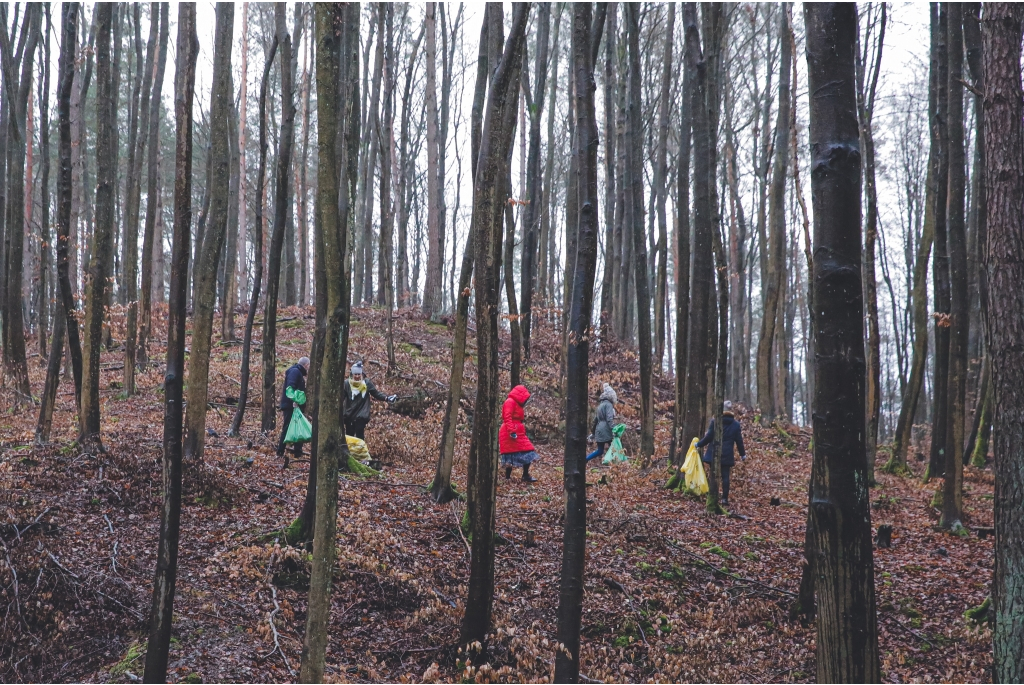 Miasto włączyło się do akcji Forest Challenge