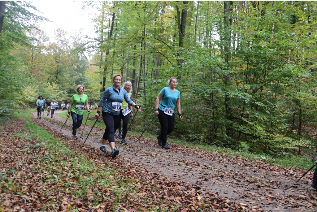 Wejherowo stolicą europejskiego nordic walkingu