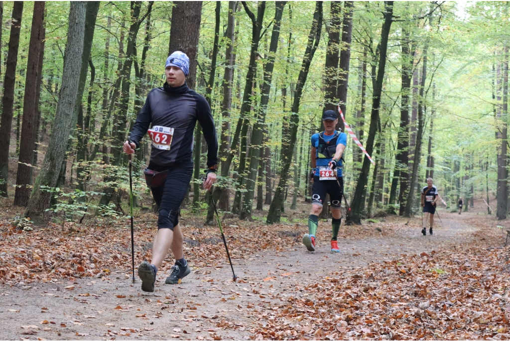 Wejherowo stolicą europejskiego nordic walkingu