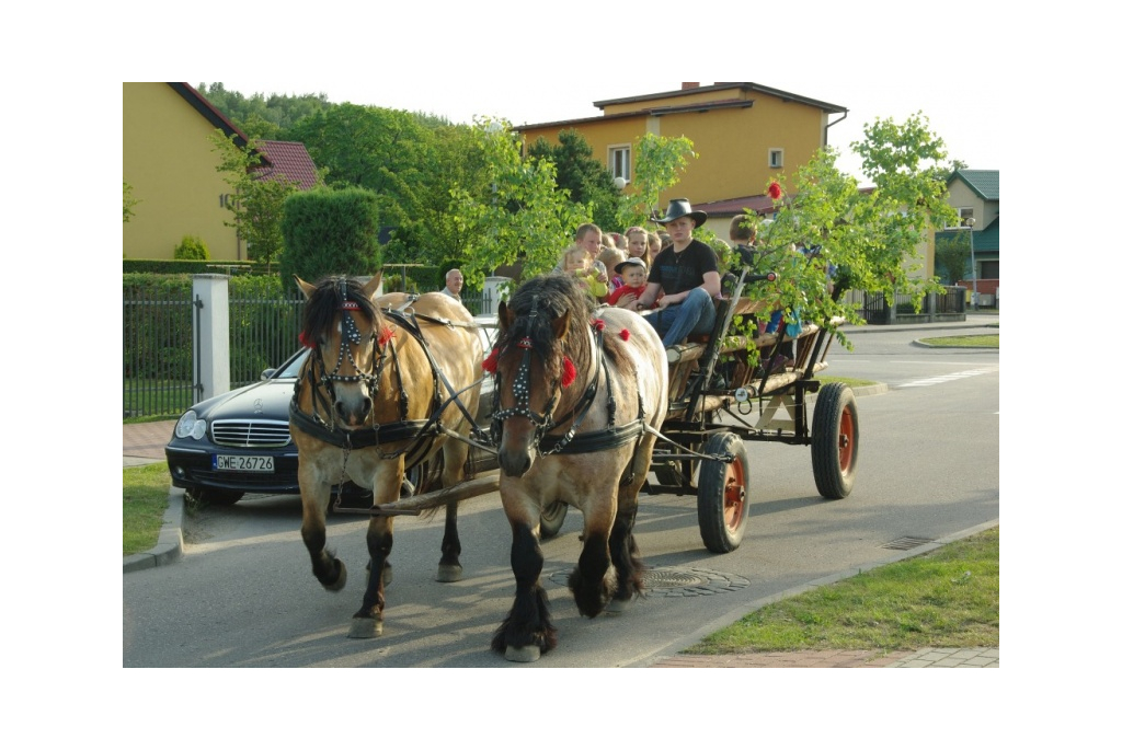 Sobotki na wejherowskich osiedlach - 23.06.2012