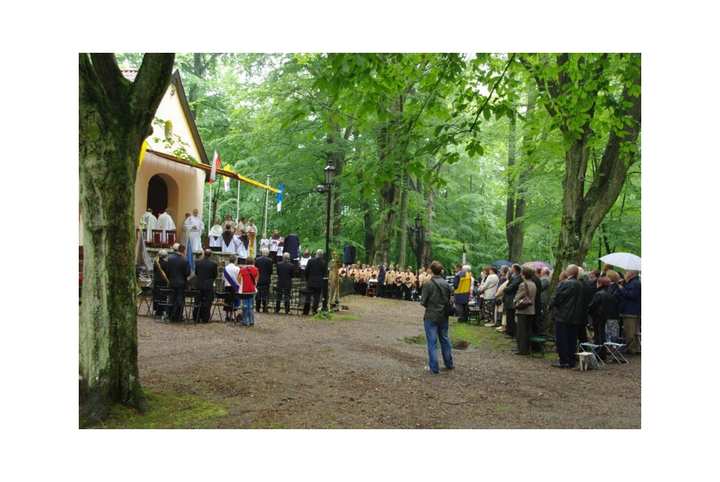 Kalwaryjski odpust z modlitwą za chorych - 01.07.2012