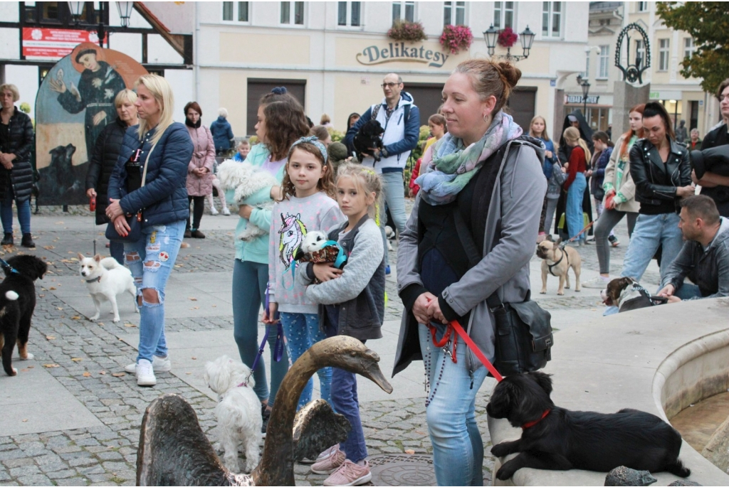 Wyświęcenie zwierząt domowych przy figurze św. Franciszka