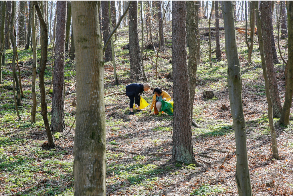 Urzędnicy oraz radni sprzątali okoliczne lasy