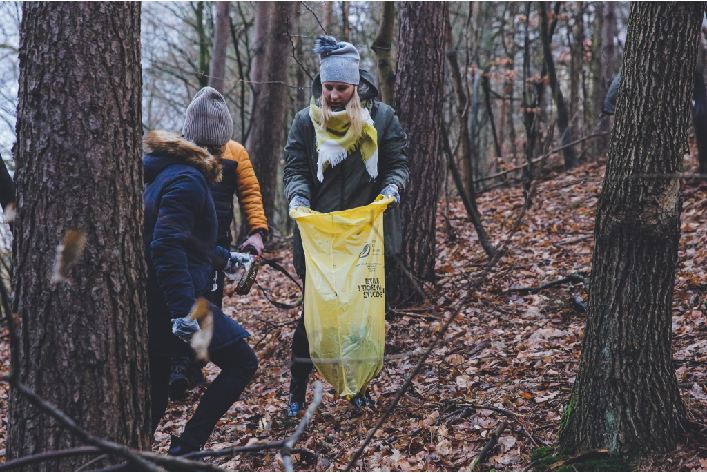 Miasto włączyło się do akcji Forest Challenge