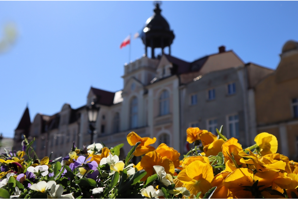 Przygarnij bratka
