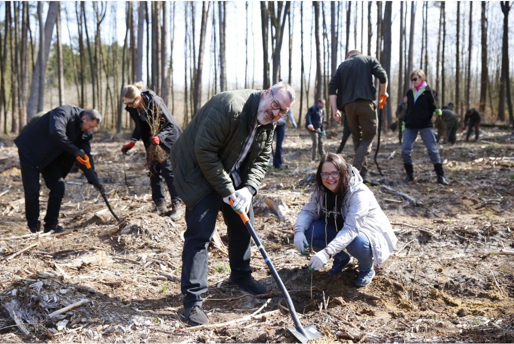 Sadzenie lasów z Nadleśnictwem Wejherowo