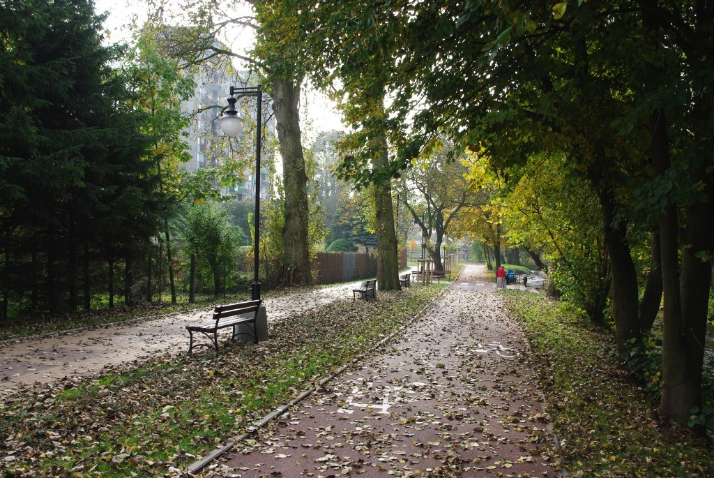 Ścieżka rowerowa wzdłuż rzeki Cedron -10.10.2013