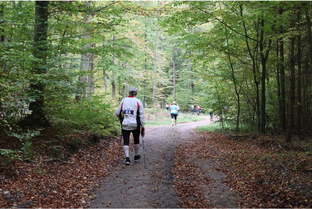 Wejherowo stolicą europejskiego nordic walkingu