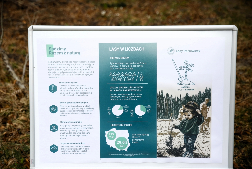 Sadzenie lasów z Nadleśnictwem Wejherowo