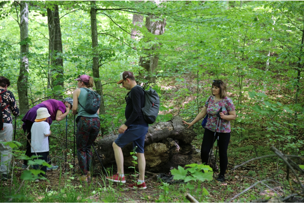 Jakubowy Marsz Nordic Walking
