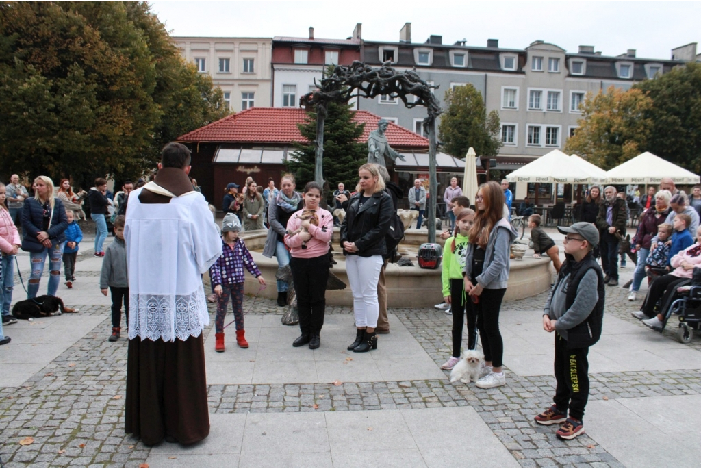 Wyświęcenie zwierząt domowych przy figurze św. Franciszka