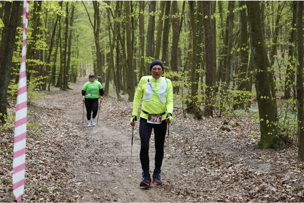 XV Mistrzostwa Polski Nordic Walking