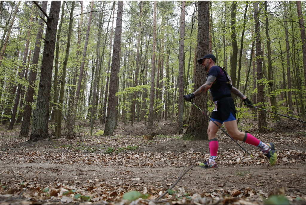 XV Mistrzostwa Polski Nordic Walking