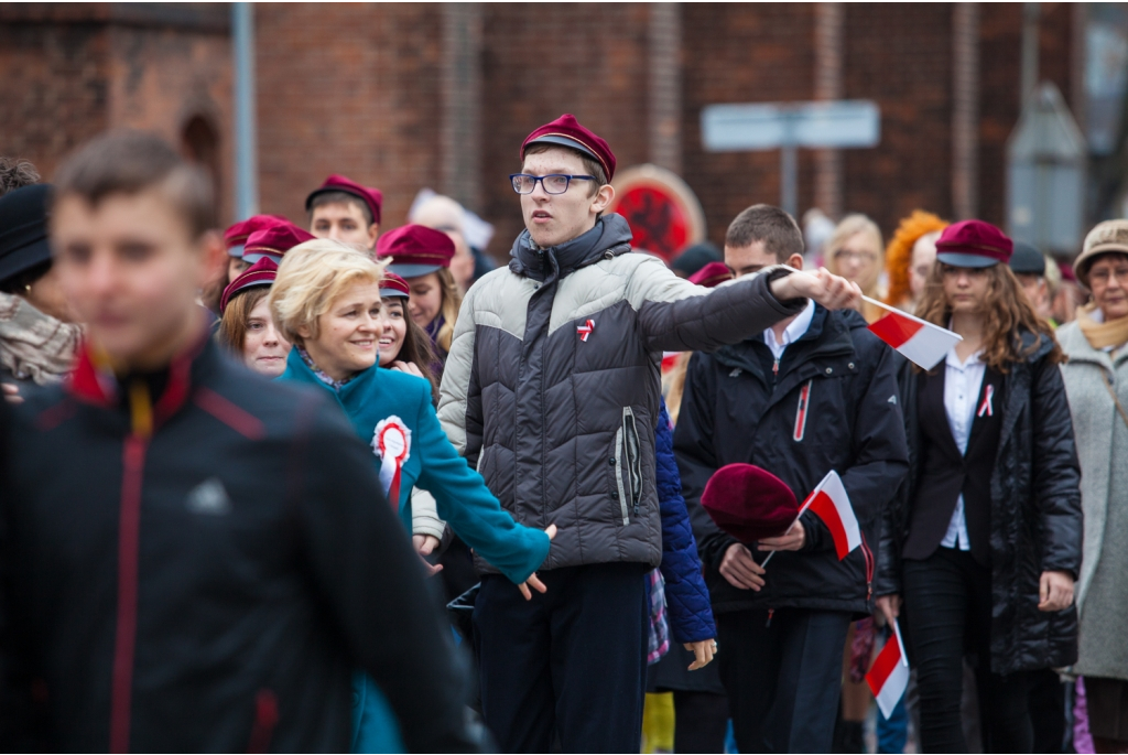 Biało-czerwona parada niepodległościowa  - 11.11.2015