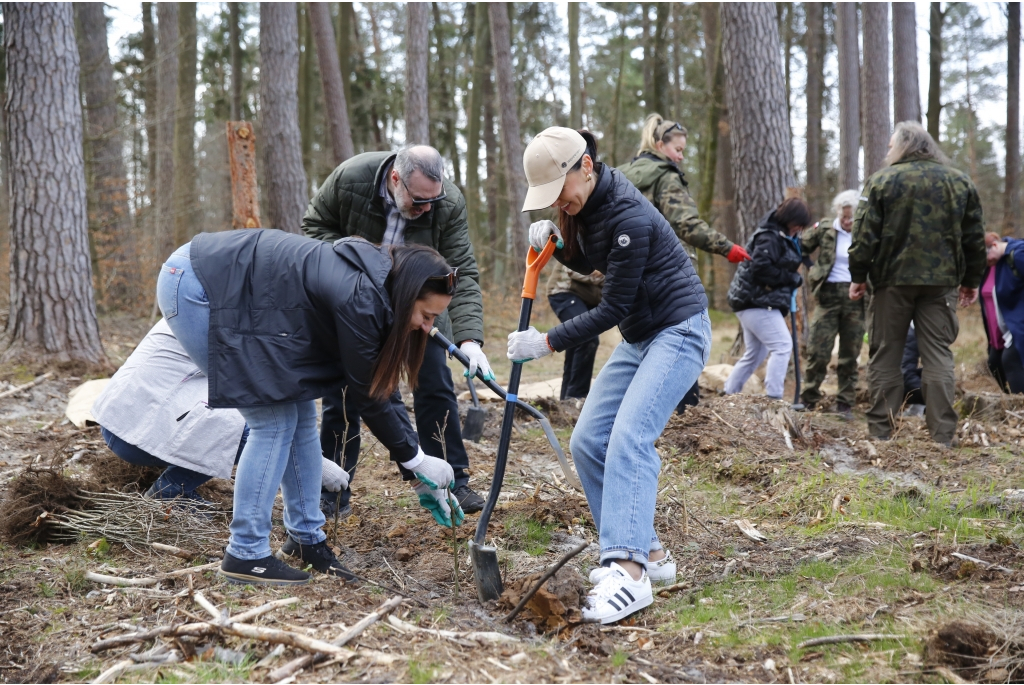 Sadzenie lasów z Nadleśnictwem Wejherowo