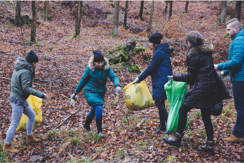 Miasto włączyło się do akcji Forest Challenge