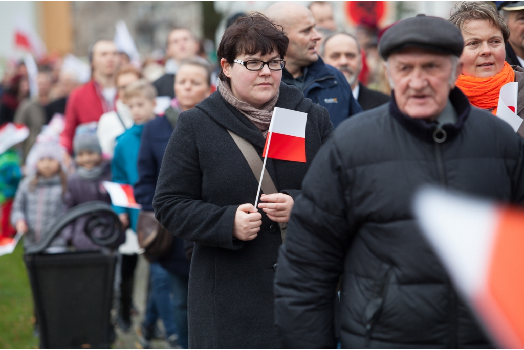 Biało-czerwona parada niepodległościowa  - 11.11.2015