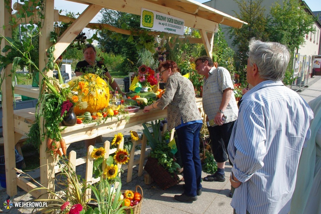 Happening Stragany Art - 13.09.2014