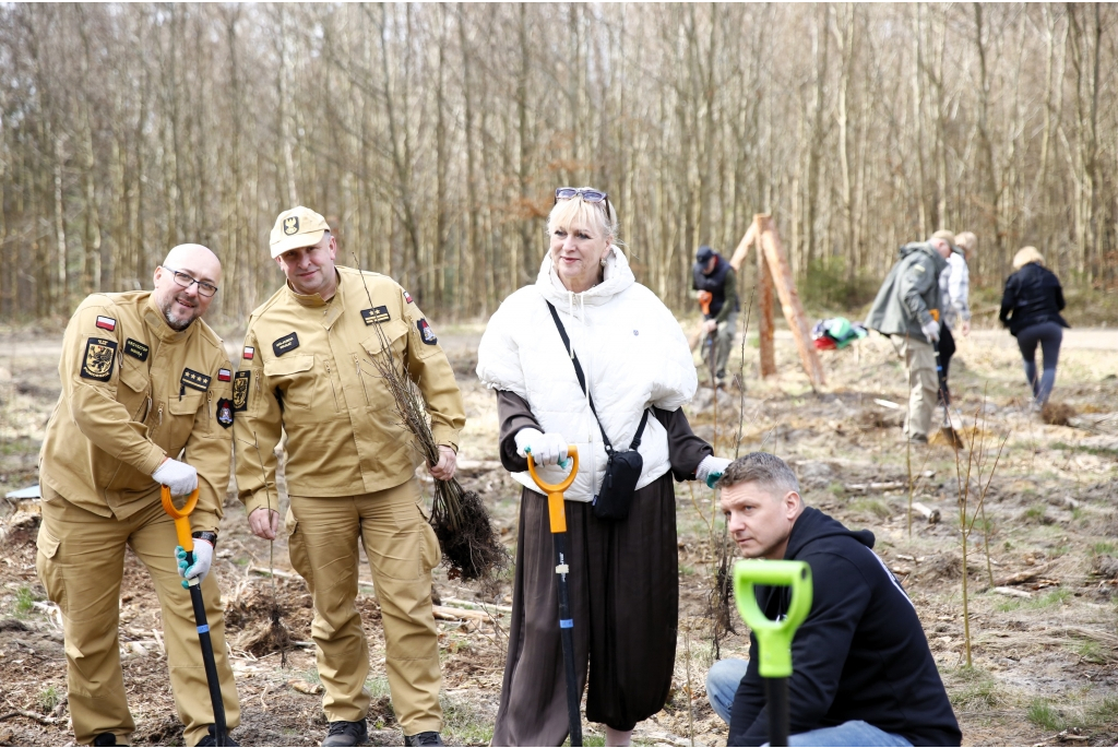 Sadzenie lasów z Nadleśnictwem Wejherowo