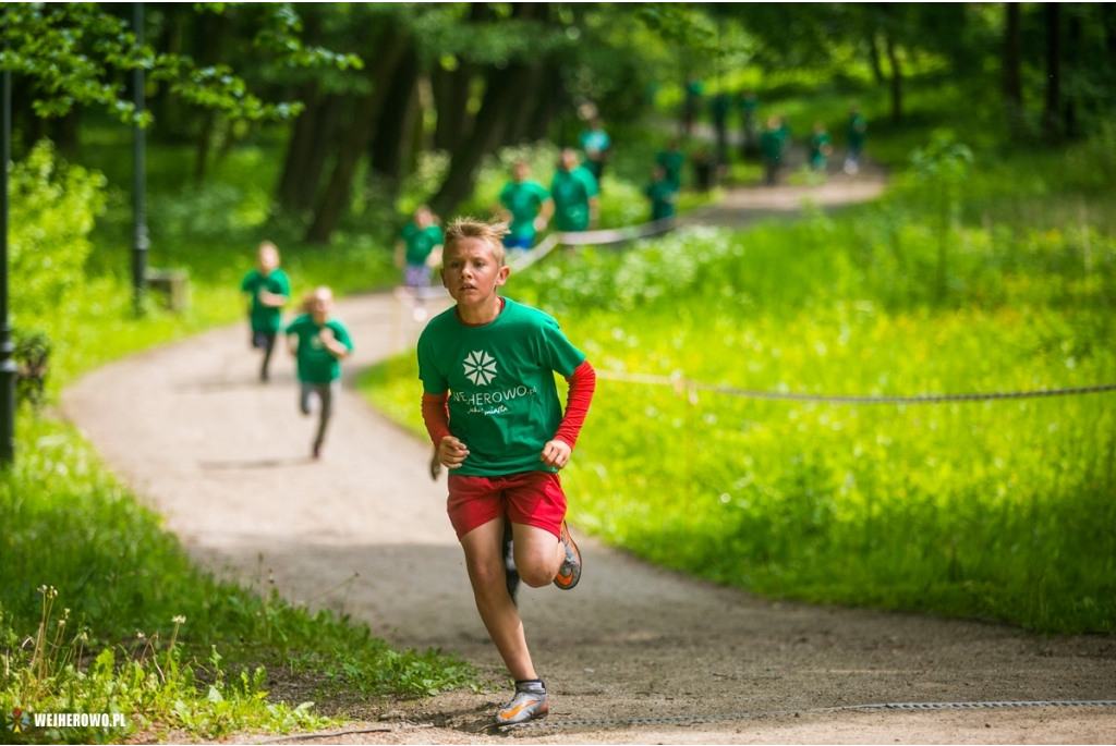 Wejherowo Biega 2016