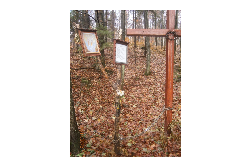Lesoki - wycieczka - 9.11.2012